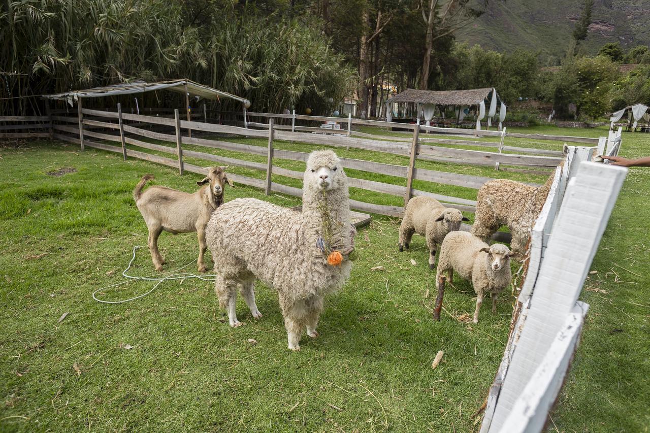 The Sacred Valley Lodge - Hotel Cusco Yucay Dış mekan fotoğraf